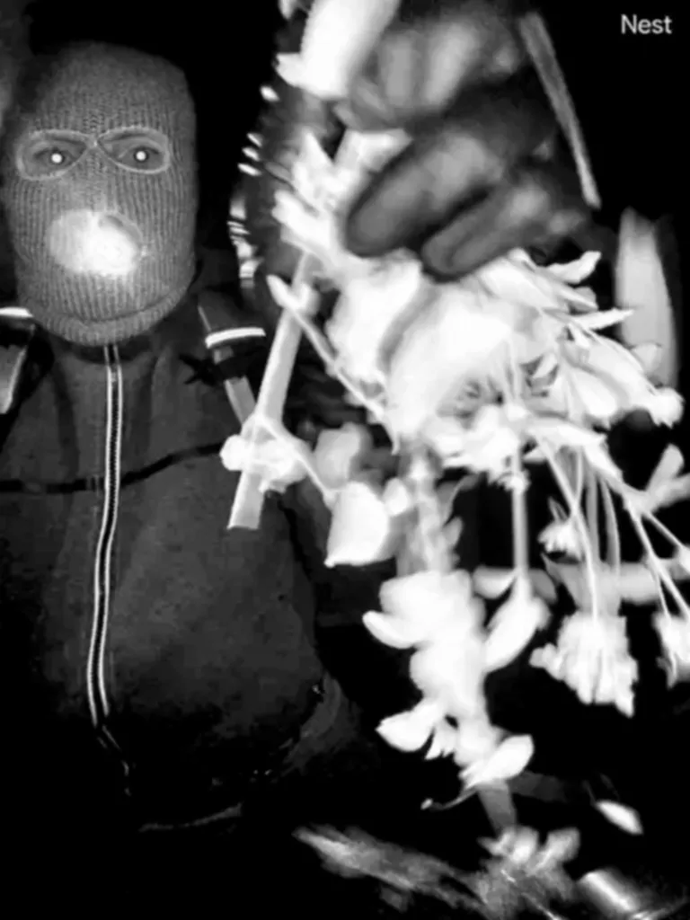 Surveillance image of a suspect wearing a ski mask in connection with the disappearance of Nancy Guthrie.