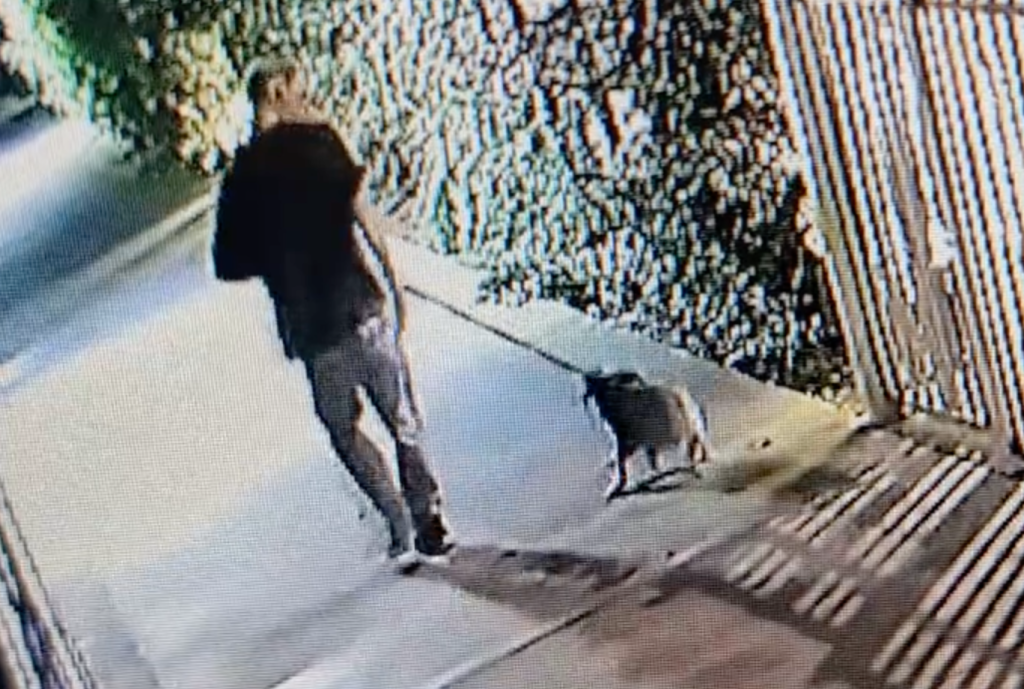 A low-quality security camera still of a man appearing to harm a small dog near a dock.