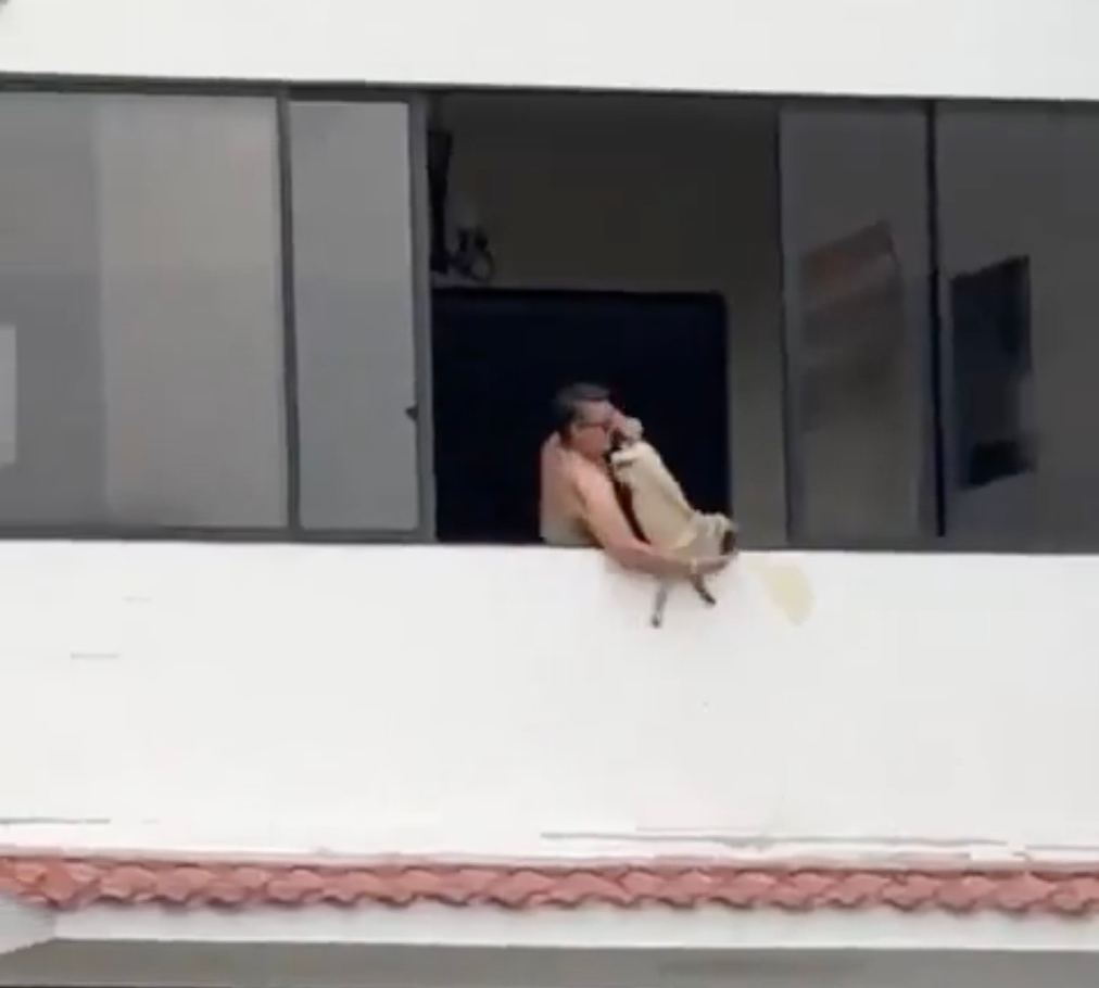 Héctor Alejandro Rosales Bonilla leaning from an apartment balcony holding a dog by its legs.