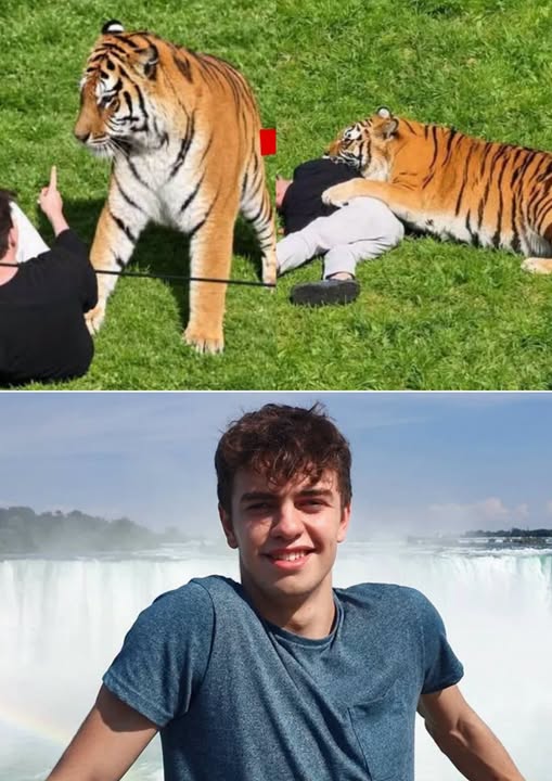 Có thể là hình ảnh về thác nước