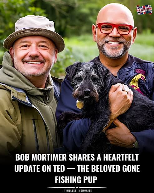 Ted, the scruffy Patterdale terrier who wandered into Mortimer & Whitehouse: Gone Fishing, has become far more than a background presence — he's a bona fide member of the show's gentle, eccentric