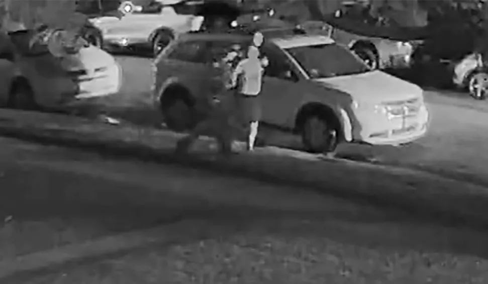 Surveillance camera footage of Ismael Pinedalopez standing near vehicles.