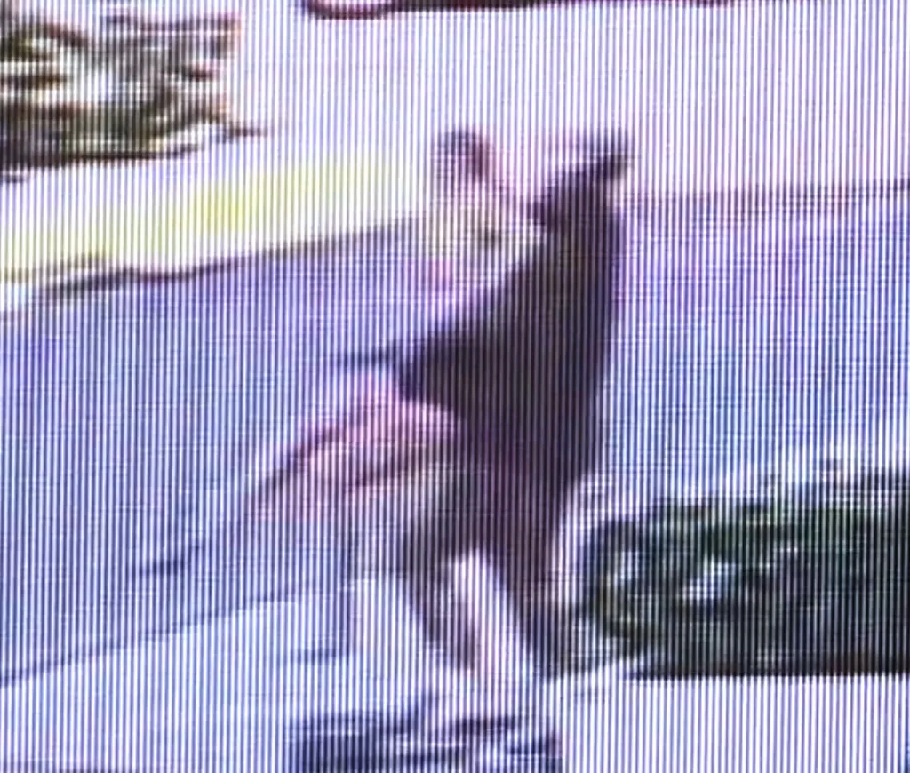 Surveillance footage capturing a kidnapping in broad daylight.