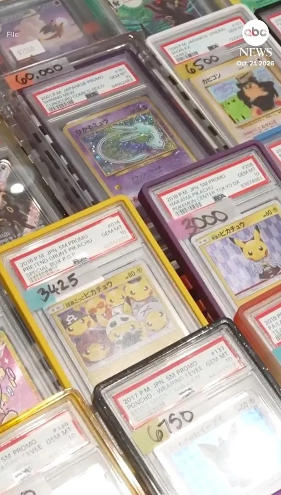 A high-angle close-up of several graded Pokémon trading cards in protective cases with price tags attached.