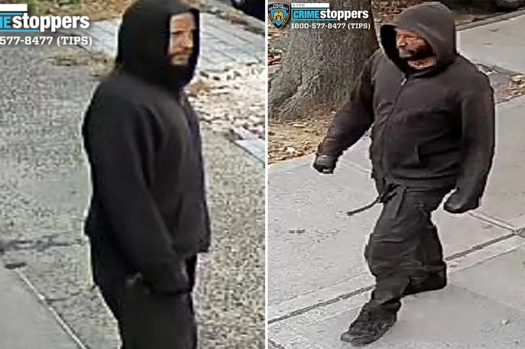 Collage of surveillance images showing a bearded suspect in a black hoodie walking outdoors.
