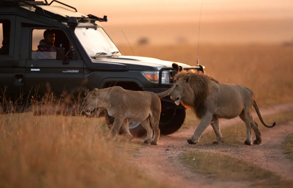 Kenya is known around the world for its wildlife safaris, picturesque savannas and national parks, which all draw millions of international tourists each year.