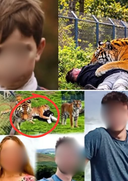 May be an image of slow loris and big cat